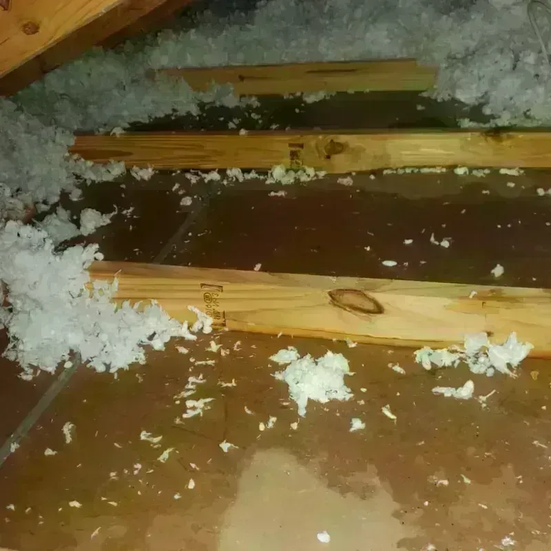 Attic Water Damage in Bath, MI