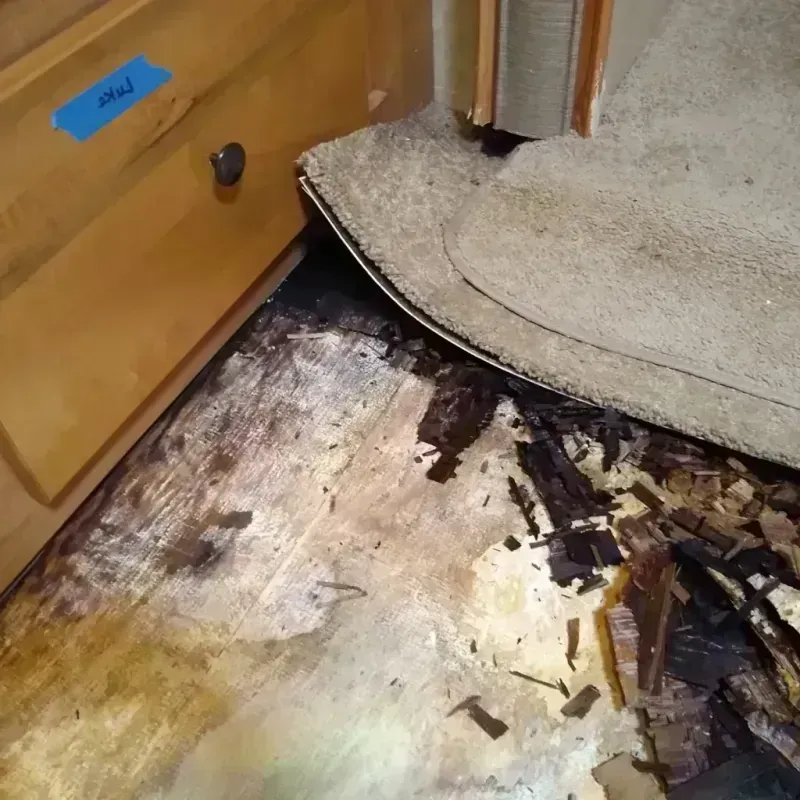 Wood Floor Water Damage in Bath, MI